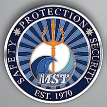 Load image into Gallery viewer, MST Coin
